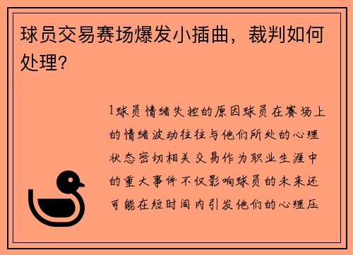 球员交易赛场爆发小插曲，裁判如何处理？